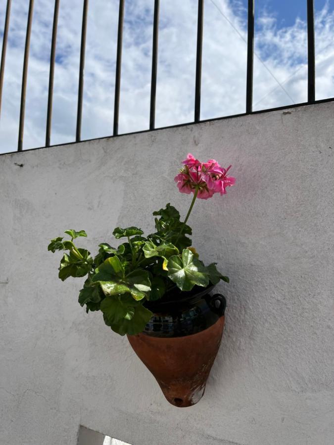 Atico Centro 17 Apartman Jerez de la Frontera Kültér fotó